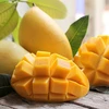 Vietnam planea alcanzar 650 millones de dólares por exportaciones de mangos