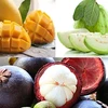 Aumenta Rusia importación de frutas de Vietnam 