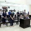 Severas sanciones a culpables en caso contrabando en empresa Nhat Cuong