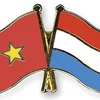 Conmemoran 48 años de las relaciones diplomáticas Vietnam-Países Bajos