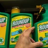 Corte de EE.UU. rechaza apelación de Monsanto contra el herbicida Roundup