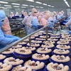 Vietnam aprovecha oportunidades de tratados de libre comercio para promover exportaciones de productos pesqueros