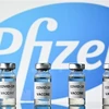 Vietnam recibirá 31 millones de dosis de vacuna Pfizer contra COVID-19