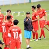 Selección vietnamita de fútbol partirá mañana hacia Emiratos Árabes Unidos