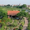 Plantas ornamentales entre principales productos agrícolas de Hanoi