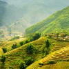 Forbes: Provincia vietnamita de Lao Cai entre las cinco maravillas naturales del Sudeste Asiático