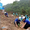 Provincia vietnamita de Ben Tre plantará 10 millones de árboles