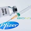Llegarán a Vietnam millones de dosis de vacunas AstraZeneca y Pfizer