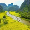 Vietnam necesita nuevos mecanismos para promover el desarrollo cultural