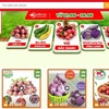 Venden productos agrícolas vietnamitas en plataforma de e-comercio Sendo