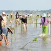 Destacan a prefectura nipona por aportes a conservación del entorno en Vietnam