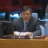 Vietnam vota a favor de la resolución de ONU de poner fin a bloqueo contra Cuba