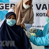COVID-19: Indonesia decide imponer una orden de bloqueo de emergencia