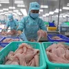 EE.UU. exime a dos exportadores vietnamitas del pescado Tra del impuesto antidumping