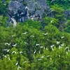 Vietnam promueve cooperación con Fondo Mundial para la Naturaleza