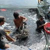 Provincia vietnamita de Ca Mau fortalece protección ambiental en la acuicultura