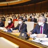 Continúa agenda del primer período de sesiones del Parlamento vietnamita