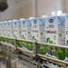 Empresa láctea líder de Vietnam registra ingresos netos récord en segundo trimestre