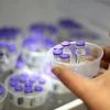 ASEAN llama a intensificar la producción de vacunas