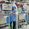 Vietnam se afianza como destino preferido de empresas estadounidenses en el Indo-Pacífico