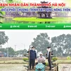 Lanzan sitio web de Hanoi sobre programa "Cada comuna, un producto"
