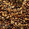 Aumenta precio de exportación de café arábica de Vietnam