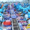 Vietnam por convertirse en centro mundial de procesamiento de mariscos