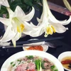 Hanoi atrae a los visitantes gracias a su riqueza gastronómica