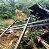 Mueren tres niños por deslizamiento de tierra en provincia vietnamita