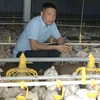 Agricultores de Hanoi con grandes ganancias a pesar del COVID-19
