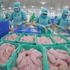 Estados Unidos publica conclusión preliminar sobre impuesto antidumping para pangasius vietnamita