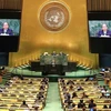 Vietnam concede importancia a los nexos con la ONU