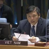 Vietnam preocupado por aumento de violencia y situación humanitaria en Gaza