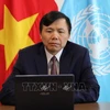 Vietnam hará todo lo posible para cumplir su misión en la ONU