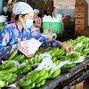 Rusia aumenta importación de verduras y frutas de Vietnam