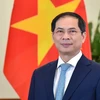 Vietnam llama a fortalecer cooperación internacional en respuesta a pandemia