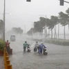 Vicepremier vietnamita insta a estar atento a la próxima tormenta 