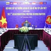 Vietnam reafirma incorporación a lucha contra drogas en el Sudeste Asiático 
