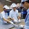 Sector privado juega papel cada vez más importante en la economía vietnamita