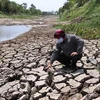 Vietnam busca cooperación internacional en lucha contra el cambio climático