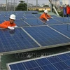 Empresas de Vietnam y Escocia impulsan cooperación en energía solar