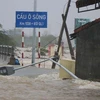 Inundaciones provocan cuantiosas pérdidas en el centro de Vietnam