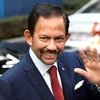 Brunei aprecia progreso de ASEAN en lucha contra el COVID-19 y a favor de la recuperación económica