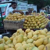 Corea del Sur aumenta importaciones de mango vietnamita