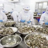 Exportaciones de camarón de Vietnam se recuperan en cuarto trimestre de 2021