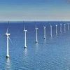 Grupo danés propone investigar proyecto de energía eólica en ciudad portuaria vietnamita