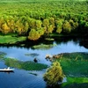 Desarrollan el manglar de cayepute Tra Su en destino turístico