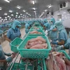 Vietnam se empeña en ampliar exportaciones de pangasius a Australia