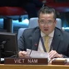 Vietnam exhorta a acelerar la transición política en Libia
