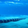 Problemas de cables submarinos afectan conexiones internacionales por Internet en Vietnam